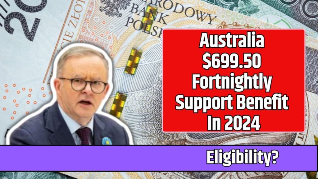 $699.50 Fortnightly Support Payment Schedule 2024