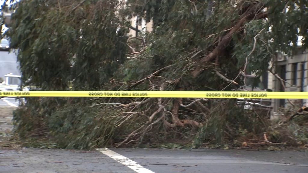 San Francisco Weather Shock: Unusual Conditions Set to Hit—Stay Alert