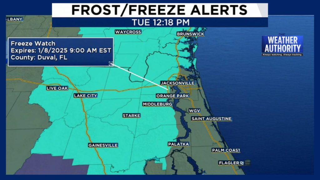 Frost Advisory for Miami: Unusual Cold Snap Endangers Plants and Pets—Act Quickly