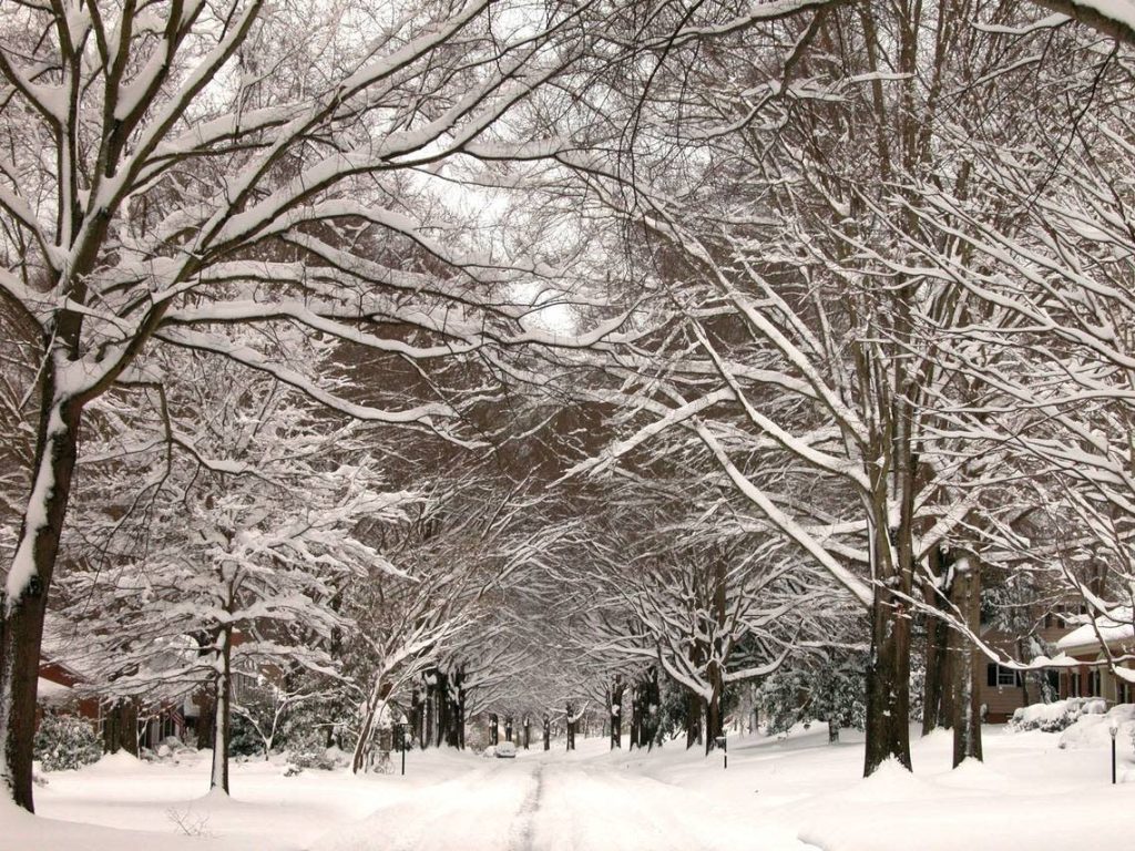 Charleston Residents, Brace for Frosty Stars and Bright Afternoon