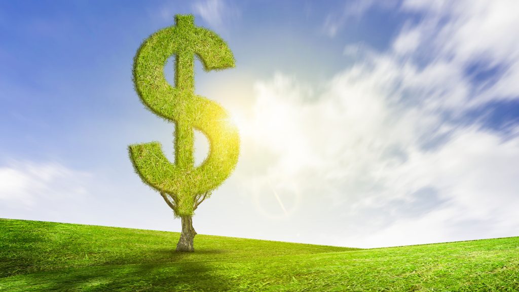 Massive Tax Relief Coming to Virginia? New Law Offers Up to $650 in Rebates for Eligible Filers in 2025