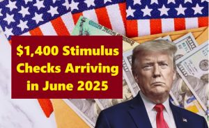 Stimulus Checks in 2025! Here’s Who’s Really Getting Paid and How Much You Could Still Be Owed